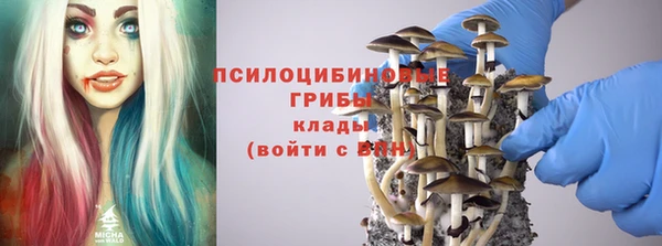 сатива Нефтегорск