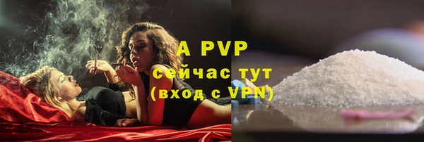 крисы Нея