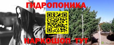 молекула духа Балаково