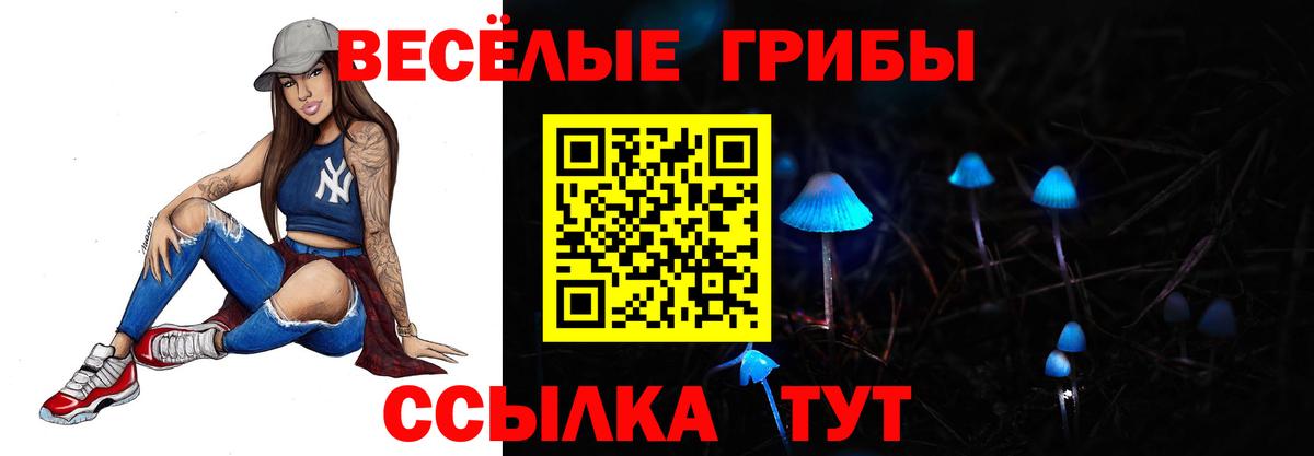 Галлюциногенные грибы ЛСД  Вход с VPN  Вольск 
